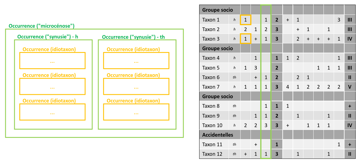 occurrence_microcenosis_synusy_idiotaxon_table.png